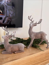 Cargar imagen en el visor de la galería, Set de venados
