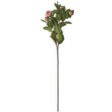 Cargar imagen en el visor de la galería, Rama de peonia en capullo
