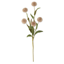 Cargar imagen en el visor de la galería, Pompon beige

