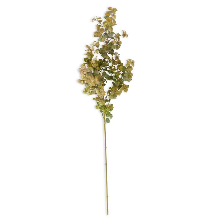 Rama de menta