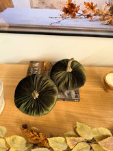 Cargar imagen en el visor de la galería, Calabaza de terciopelo

