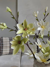Cargar imagen en el visor de la galería, Magnolia
