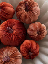 Cargar imagen en el visor de la galería, Set 8 calabazas
