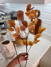 Cargar imagen en el visor de la galería, Eucalipto otoñal
