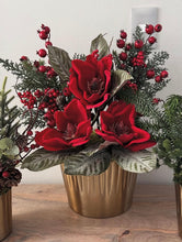 Cargar imagen en el visor de la galería, Magnolia de terciopelo
