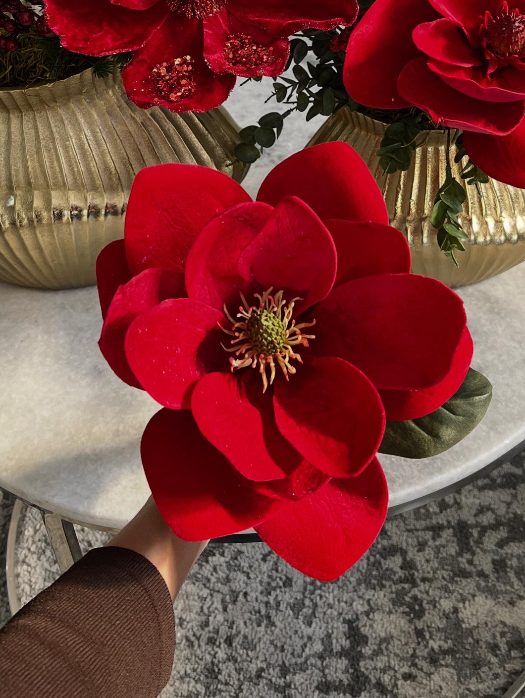 Magnolia roja velvet 12