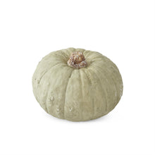 Cargar imagen en el visor de la galería, Set 2 calabazas
