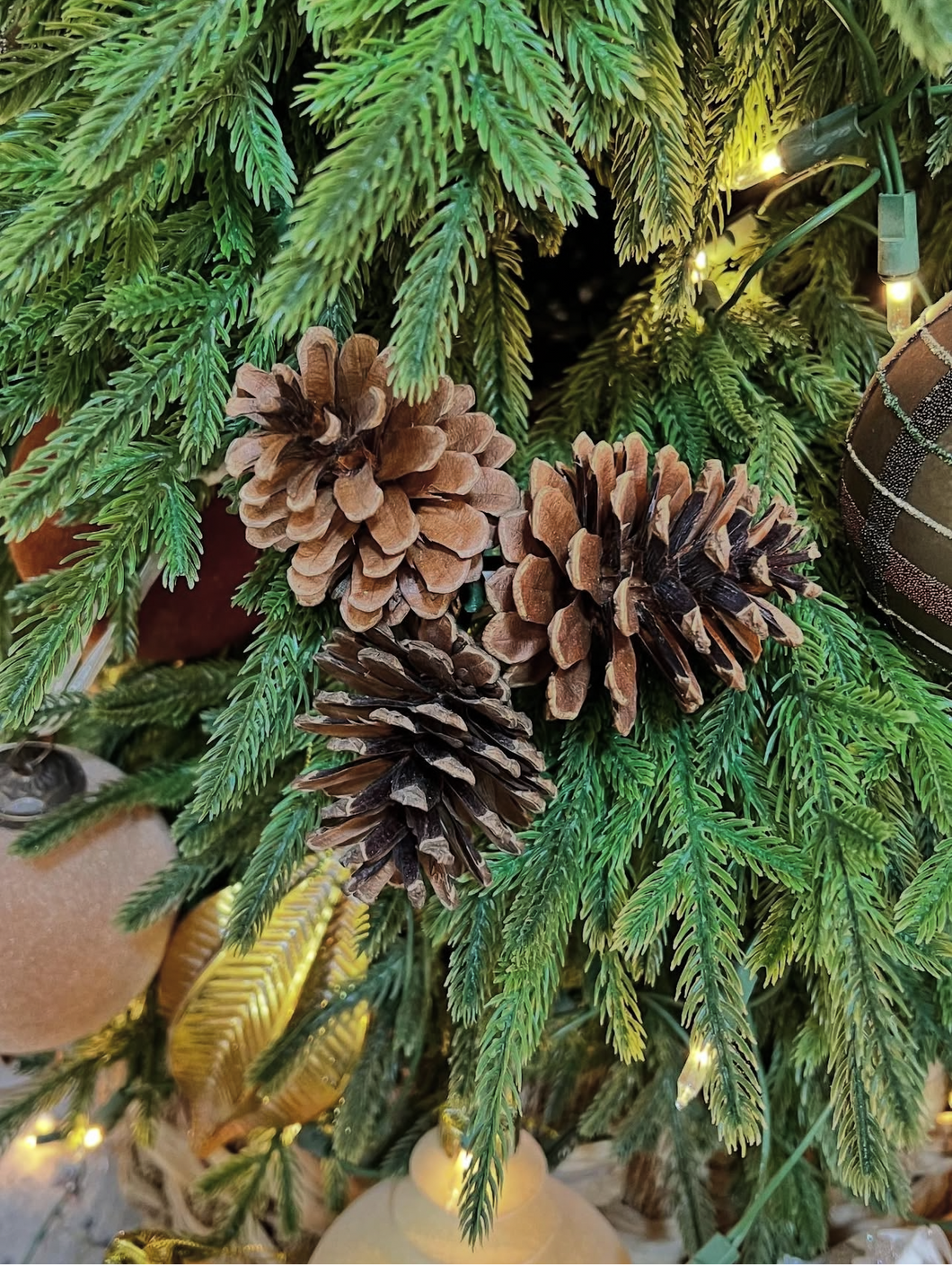 Rama trio de bellotas