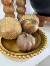 Cargar imagen en el visor de la galería, Mini calabaza Glorenza
