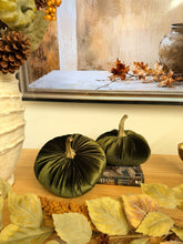 Cargar imagen en el visor de la galería, Calabaza de terciopelo
