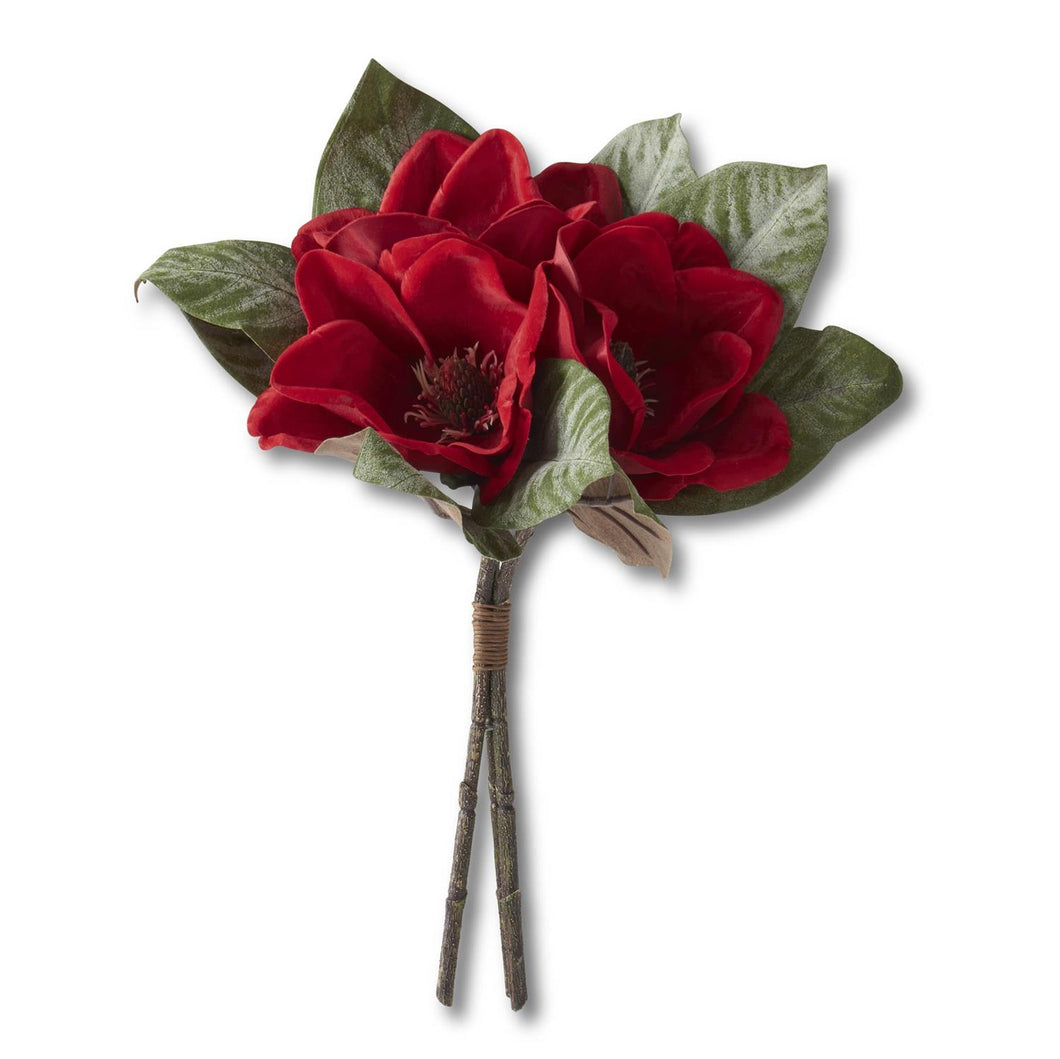 Magnolia de terciopelo