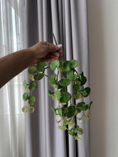 Cargar imagen en el visor de la galería, Rama de pilea colgante
