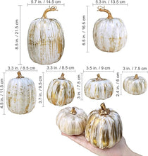 Cargar imagen en el visor de la galería, Set de diez calabazas
