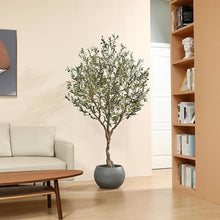 Cargar imagen en el visor de la galería, Árbol de olivo 7 pies
