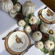Cargar imagen en el visor de la galería, Set de diez calabazas
