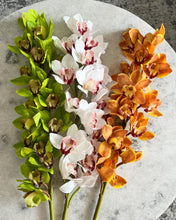 Cargar imagen en el visor de la galería, Orquídea cymbidium blanca
