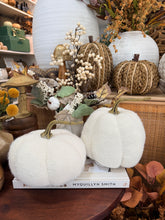 Cargar imagen en el visor de la galería, Set 2 calabazas
