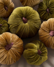 Cargar imagen en el visor de la galería, Set 8 calabazas
