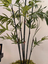 Cargar imagen en el visor de la galería, Árbol de bambú
