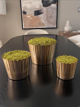 Cargar imagen en el visor de la galería, Base
