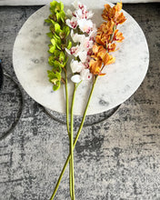 Cargar imagen en el visor de la galería, Orquídea cymbidium blanca
