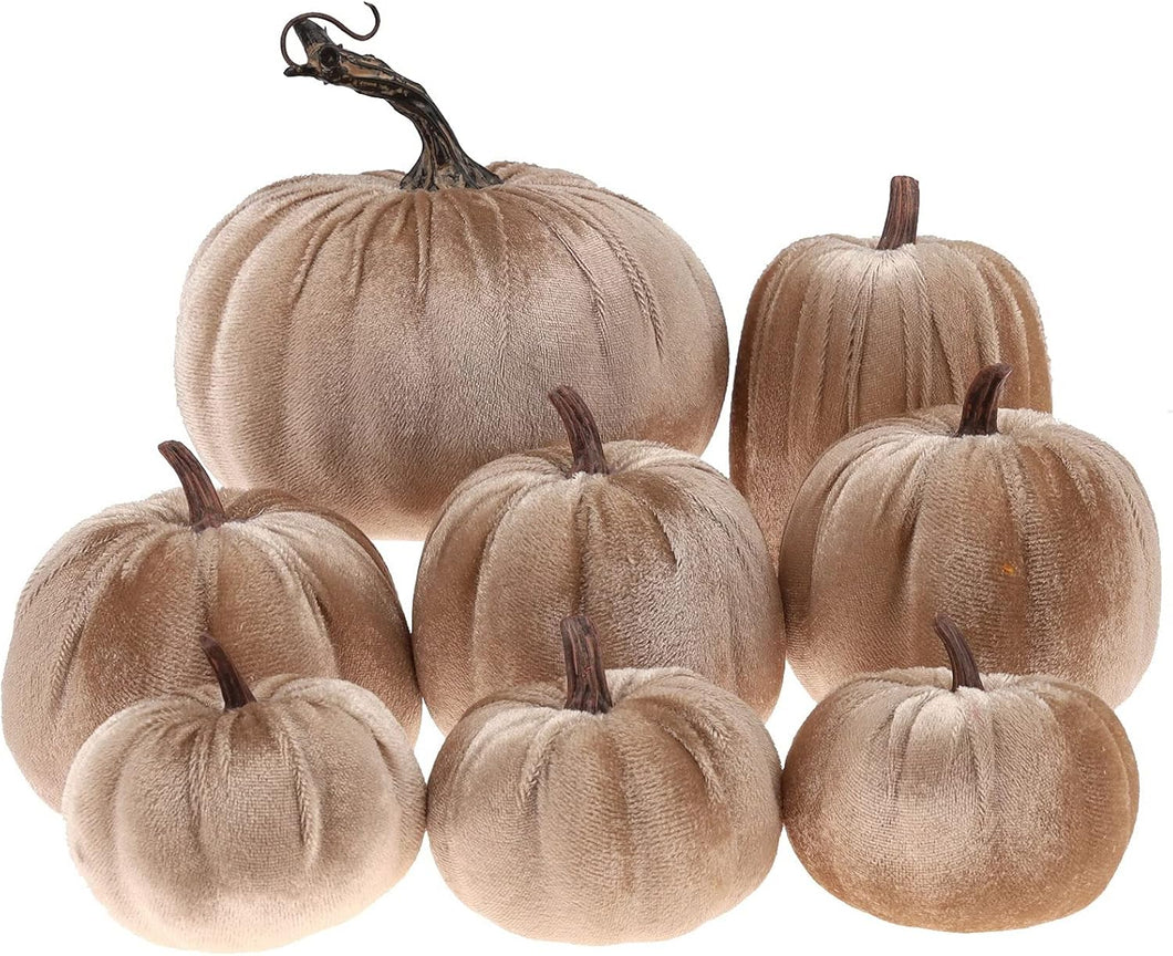Set 8 calabazas