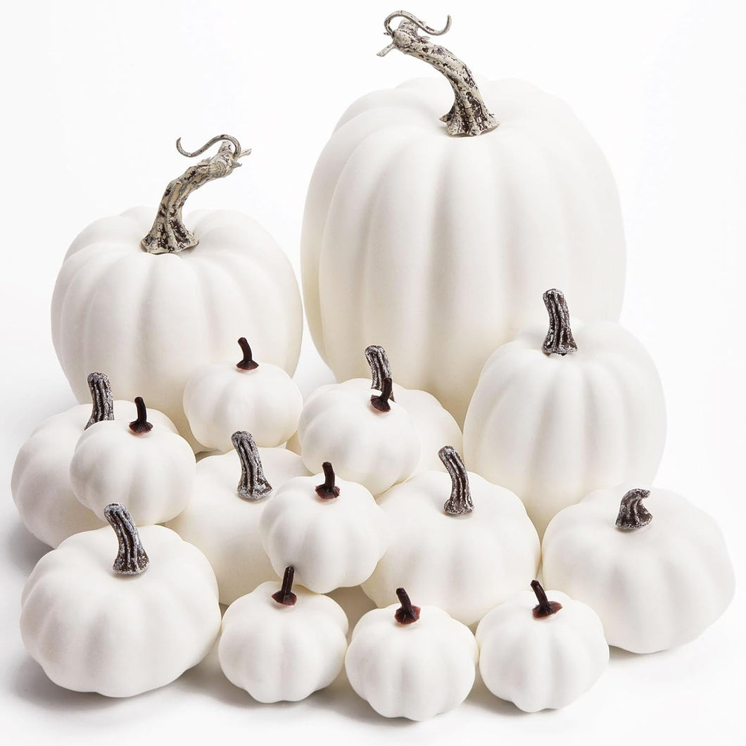 Set 16 calabazas