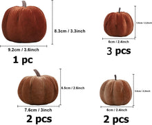 Cargar imagen en el visor de la galería, Set 8 calabazas
