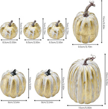 Cargar imagen en el visor de la galería, Set 7 calabazas
