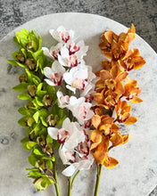 Cargar imagen en el visor de la galería, Orquídea cymbidium blanca
