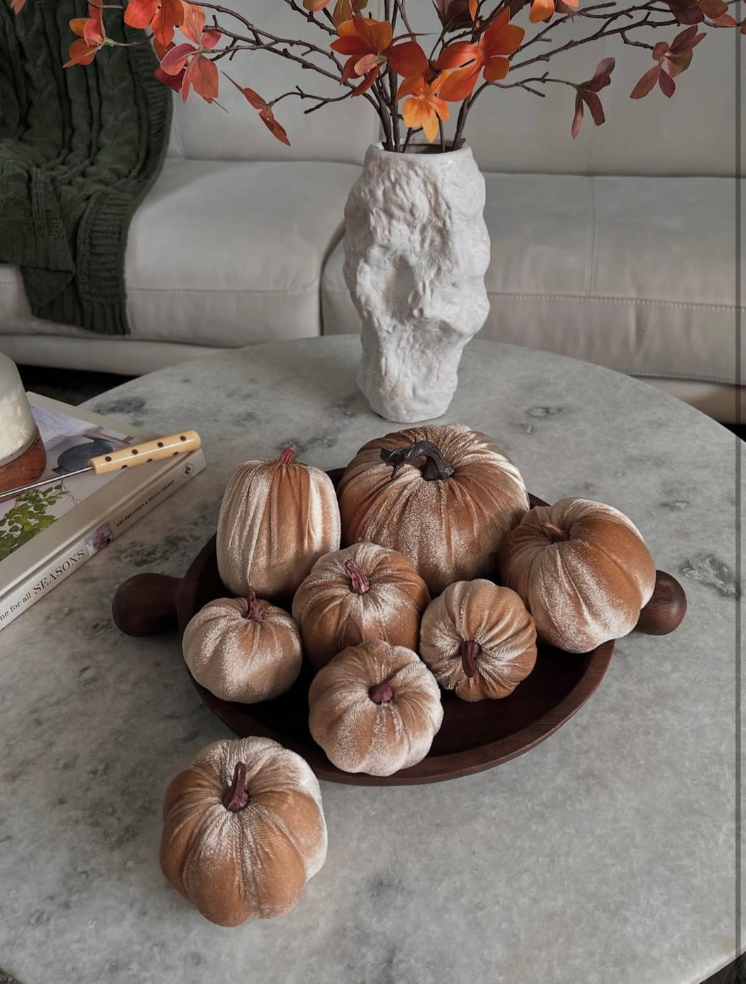 Set 8 calabazas