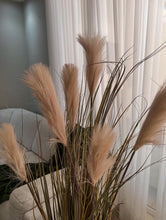 Cargar imagen en el visor de la galería, Grama de dunas
