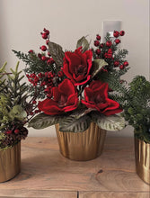 Cargar imagen en el visor de la galería, Magnolia de terciopelo
