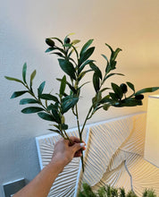 Cargar imagen en el visor de la galería, Rama de olivo 18&quot;
