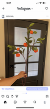 Cargar imagen en el visor de la galería, Rama de naranja
