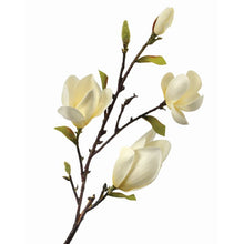 Cargar imagen en el visor de la galería, Magnolia
