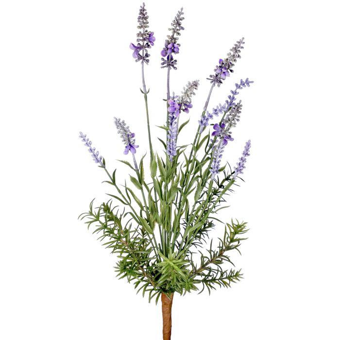 Arbusto de lavanda