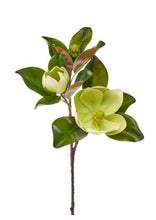 Cargar imagen en el visor de la galería, Rama de magnolia
