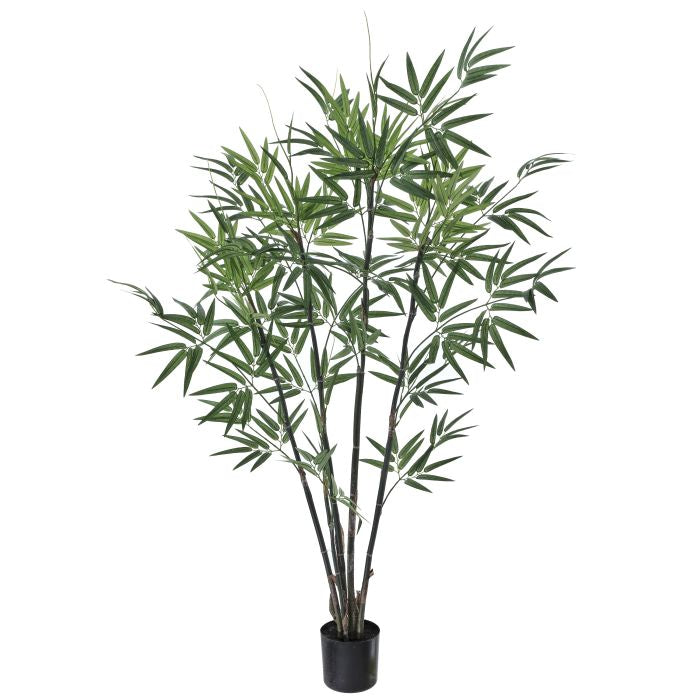 Árbol de bambú