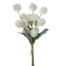 Cargar imagen en el visor de la galería, Rama de cardo
