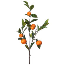 Cargar imagen en el visor de la galería, Rama de naranja
