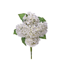 Cargar imagen en el visor de la galería, Ramo de hortensias mini
