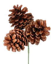 Cargar imagen en el visor de la galería, Rama trio de bellotas
