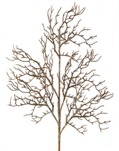 Cargar imagen en el visor de la galería, Rama abanico
