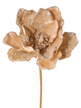 Cargar imagen en el visor de la galería, Magnolia champagne
