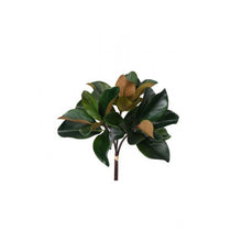 Cargar imagen en el visor de la galería, Rama de magnolia charlestón
