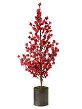 Cargar imagen en el visor de la galería, Árbol de berry 29"
