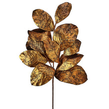 Cargar imagen en el visor de la galería, Rama de magnolia
