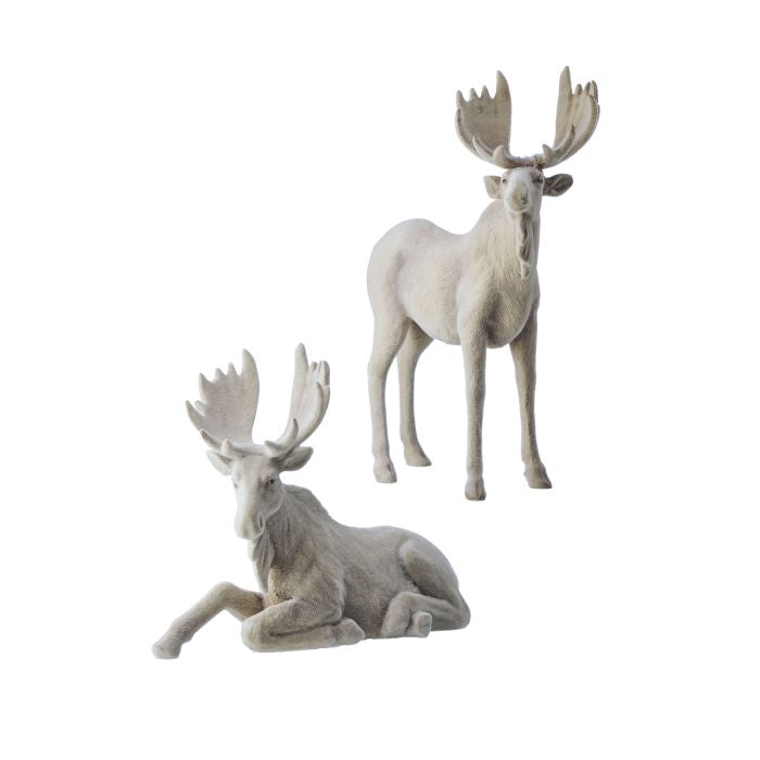 Set de alces