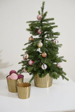 Cargar imagen en el visor de la galería, Base
